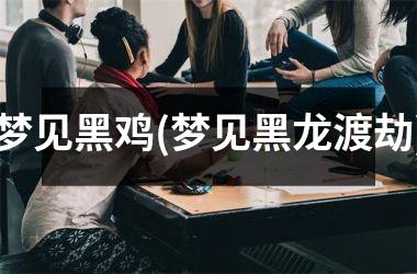 <h3>梦见黑鸡(梦见黑龙渡劫)