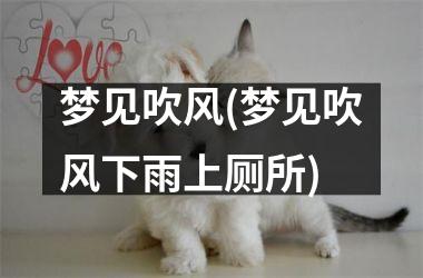 梦见吹风(梦见吹风下雨上厕所)