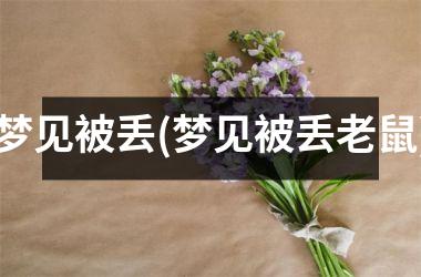 梦见被丢(梦见被丢老鼠)