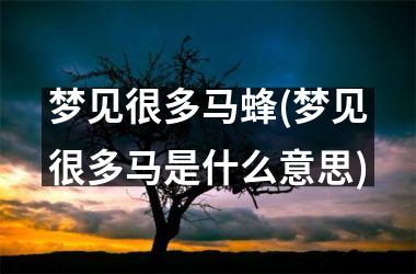 <h3>梦见很多马蜂(梦见很多马是什么意思)