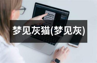 梦见灰猫(梦见灰)