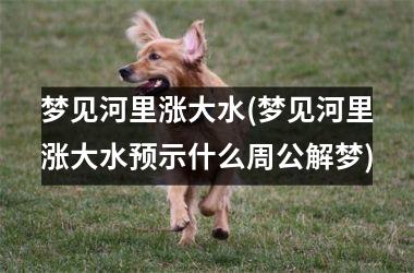 <h3>梦见河里涨大水(梦见河里涨大水预示什么周公解梦)
