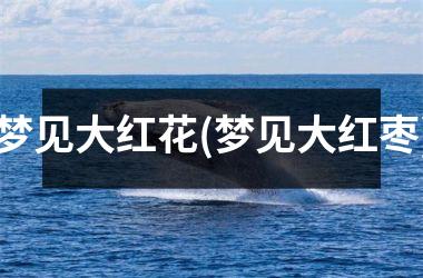 <h3>梦见大红花(梦见大红枣)