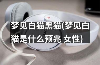 <h3>梦见白猫黑猫(梦见白猫是什么预兆 女性)