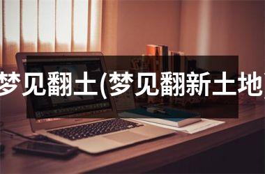 <h3>梦见翻土(梦见翻新土地)