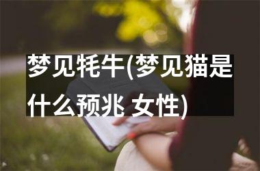 <h3>梦见牦牛(梦见猫是什么预兆 女性)