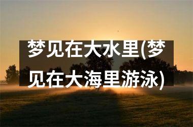 <h3>梦见在大水里(梦见在大海里游泳)