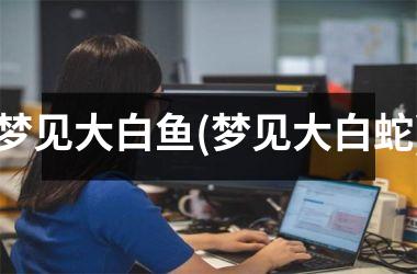 <h3>梦见大白鱼(梦见大白蛇)