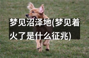 <h3>梦见沼泽地(梦见着火了是什么征兆)
