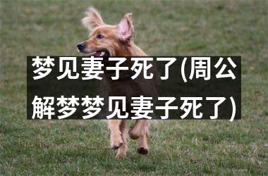 <h3>梦见妻子死了(周公解梦梦见妻子死了)