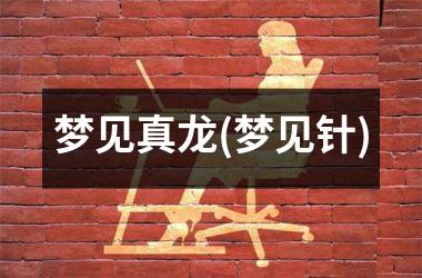 <h3>梦见真龙(梦见针)