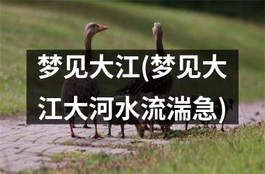 <h3>梦见大江(梦见大江大河水流湍急)