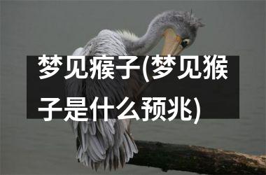 梦见瘊子(梦见猴子是什么预兆)