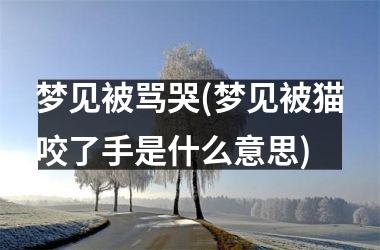 <h3>梦见被骂哭(梦见被猫咬了手是什么意思)