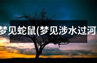 梦见蛇鼠(梦见涉水过河)