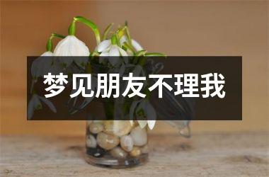 <h3>梦见朋友不理我