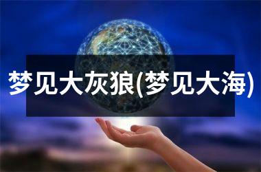 <h3>梦见大灰狼(梦见大海)
