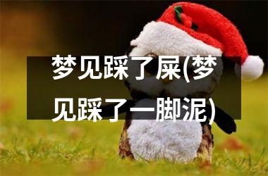 <h3>梦见踩了屎(梦见踩了一脚泥)