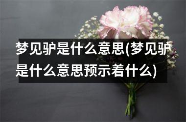 <h3>梦见驴是什么意思(梦见驴是什么意思预示着什么)