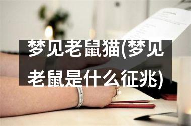 <h3>梦见老鼠猫(梦见老鼠是什么征兆)