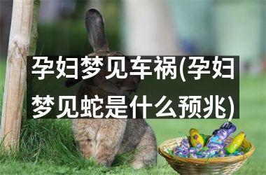 <h3>孕妇梦见车祸(孕妇梦见蛇是什么预兆)