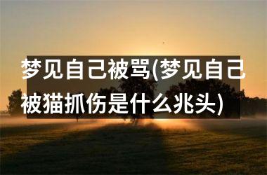 <h3>梦见自己被骂(梦见自己被猫抓伤是什么兆头)