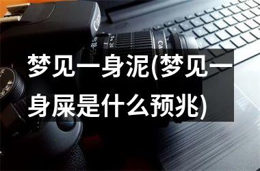 <h3>梦见一身泥(梦见一身屎是什么预兆)