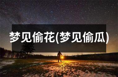 <h3>梦见偷花(梦见偷瓜)