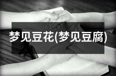 <h3>梦见豆花(梦见豆腐)