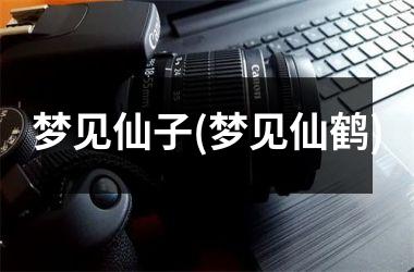 梦见仙子(梦见仙鹤)
