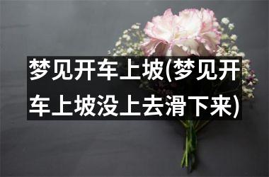 <h3>梦见开车上坡(梦见开车上坡没上去滑下来)