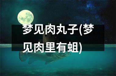 <h3>梦见肉丸子(梦见肉里有蛆)