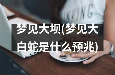 <h3>梦见大坝(梦见大白蛇是什么预兆)