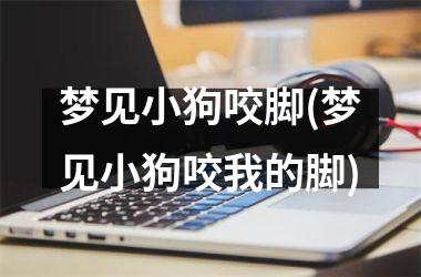 梦见小狗咬脚(梦见小狗咬我的脚)