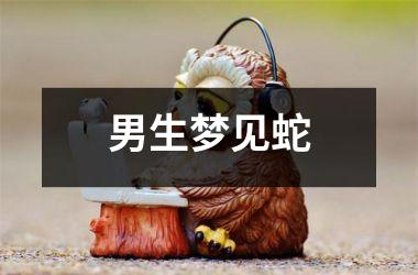 <h3>男生梦见蛇