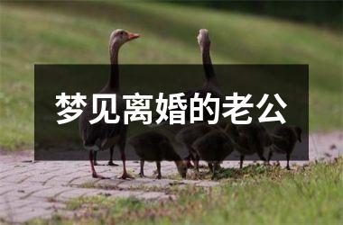 <h3>梦见离婚的老公