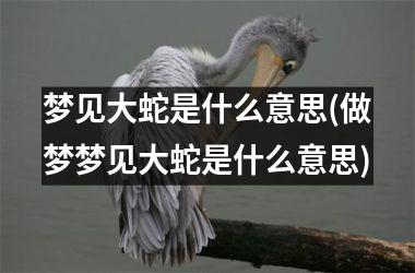 <h3>梦见大蛇是什么意思(做梦梦见大蛇是什么意思)