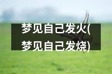 <h3>梦见自己发火(梦见自己发烧)