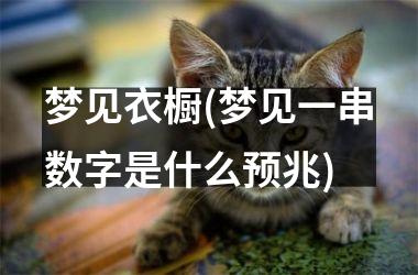 梦见衣橱(梦见一串数字是什么预兆)