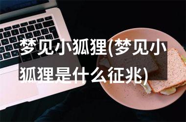 <h3>梦见小狐狸(梦见小狐狸是什么征兆)
