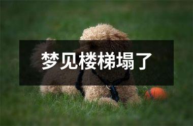 <h3>梦见楼梯塌了