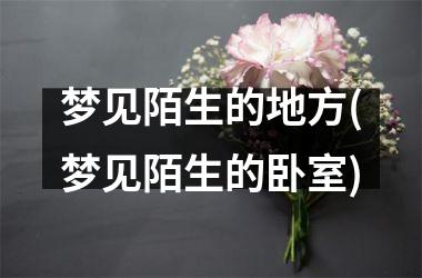 <h3>梦见陌生的地方(梦见陌生的卧室)