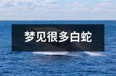 <h3>梦见很多白蛇