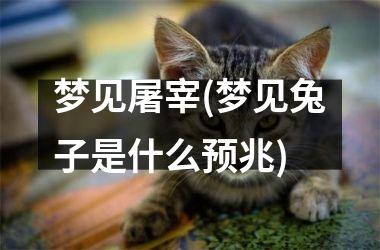 <h3>梦见屠宰(梦见兔子是什么预兆)