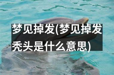 <h3>梦见掉发(梦见掉发秃头是什么意思)