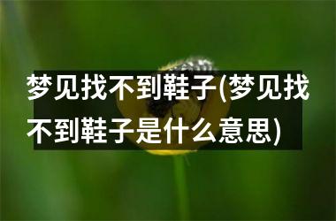 <h3>梦见找不到鞋子(梦见找不到鞋子是什么意思)
