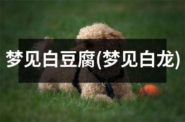 <h3>梦见白豆腐(梦见白龙)
