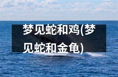 <h3>梦见蛇和鸡(梦见蛇和金龟)