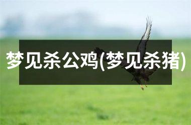 <h3>梦见杀公鸡(梦见杀猪)