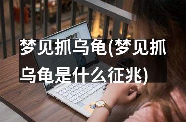 梦见抓乌龟(梦见抓乌龟是什么征兆)